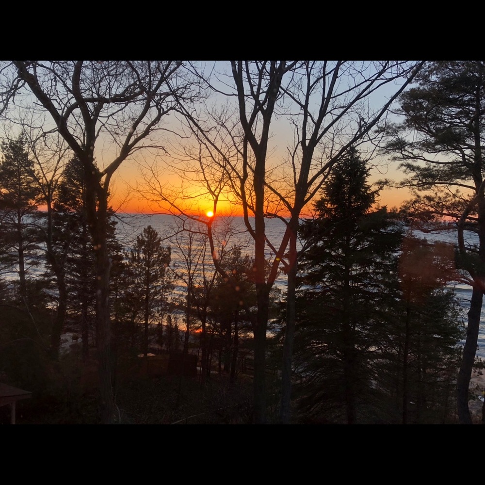 Meet your Posher, Lynn